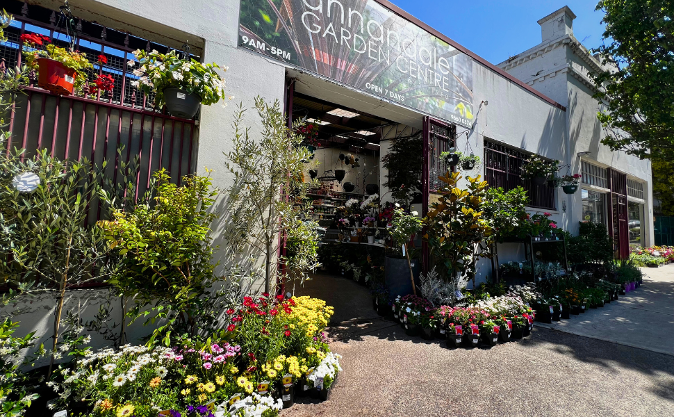 Inner West Local Christmas Gift Ideas