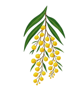 IWL Inner West Local