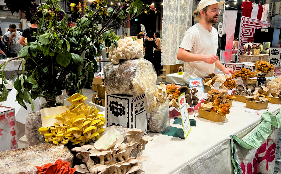 marrickville Inner West